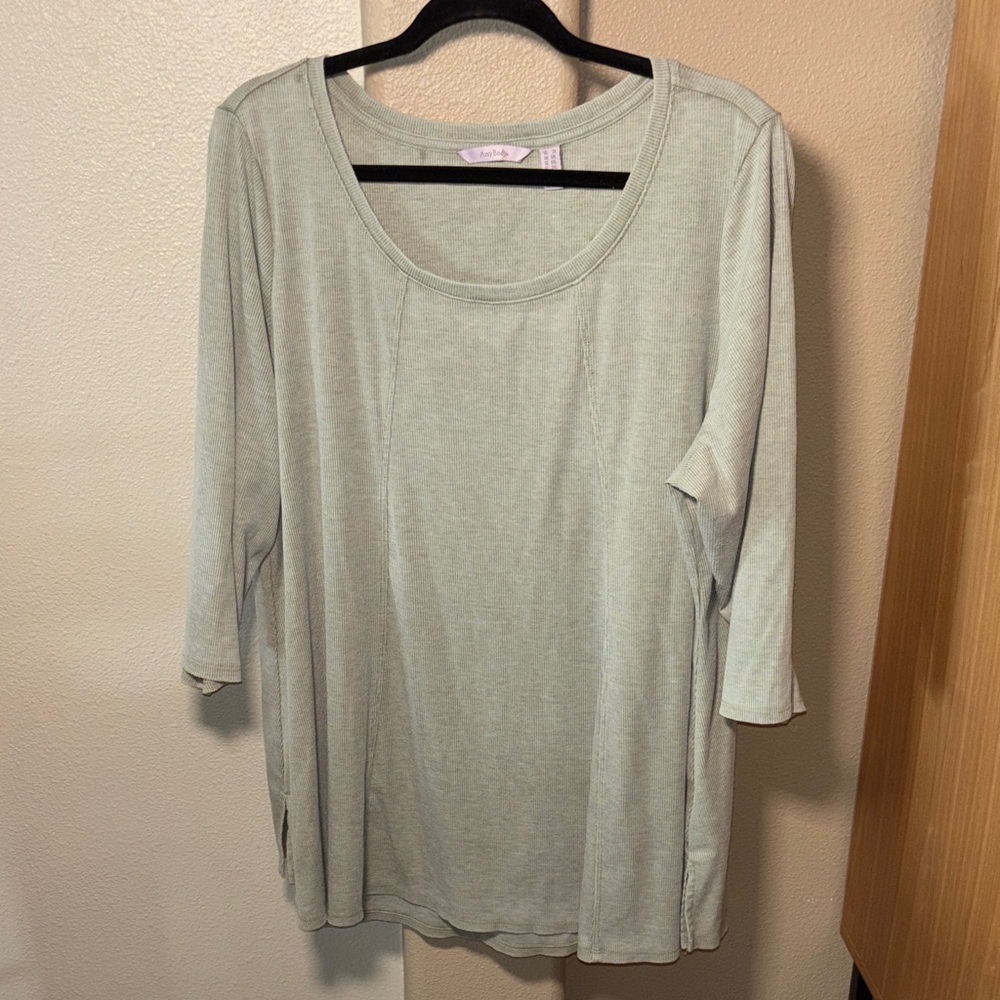 AnyBody Women's Soft Gray Long Sleeve Top 2X